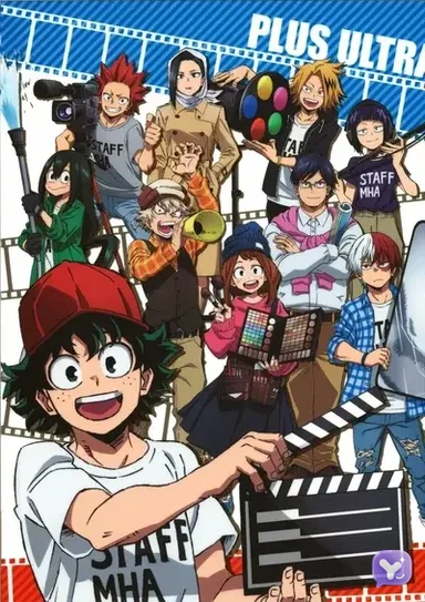 Mha USA internship