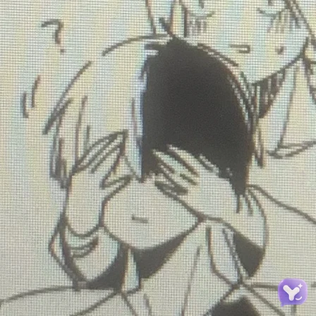 Shoto Todoroki