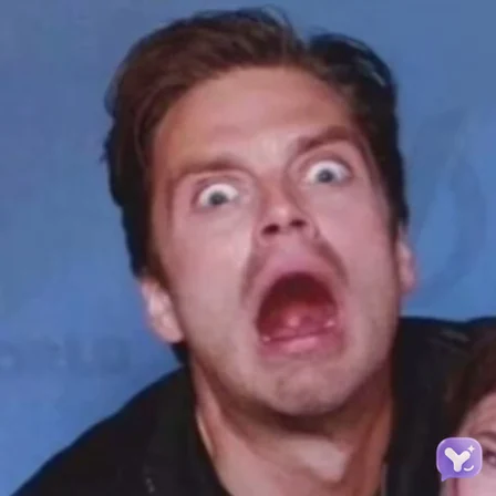 Bucky